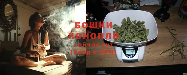 ПСИЛОЦИБИНОВЫЕ ГРИБЫ Кодинск