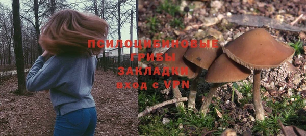спайс Козловка
