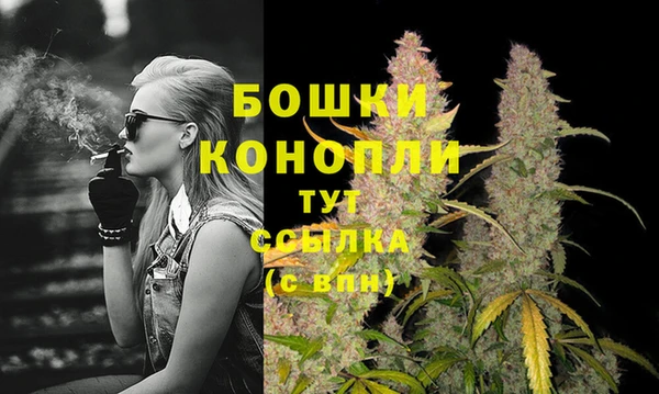 спайс Козловка