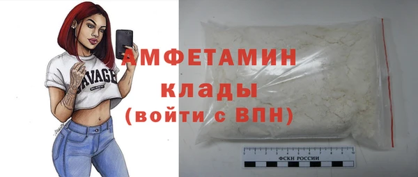 мдпв Карпинск