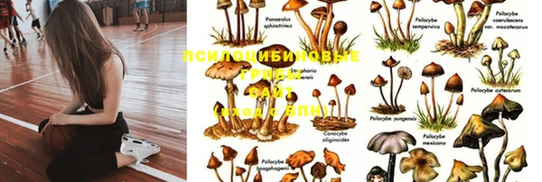 а пвп мука Карталы