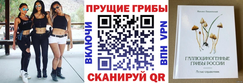 Галлюциногенные грибы Magic Shrooms  Купить где  Аткарск 